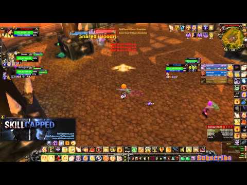 Holy Paladin Arenas - WLP with Hoodrych and Nadagast vs. 2 RLS's
