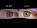 Samsung Odyssey OLED G8 vs Asus PG32UQX - 32