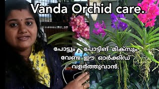 #Vanda Orchid Care ! Propagation ! വാൻഡ ഓർക്കിഡുകൾ വളർത്തുവാൻ ! Life Fun Maker.