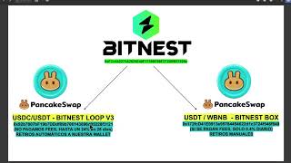 BITNEST   LEASE, Todo lo que necesitas saber