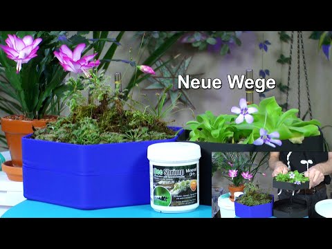 Neue Pflanzen und neue Wege in der Pflanzenkultur bitte nicht verpassen