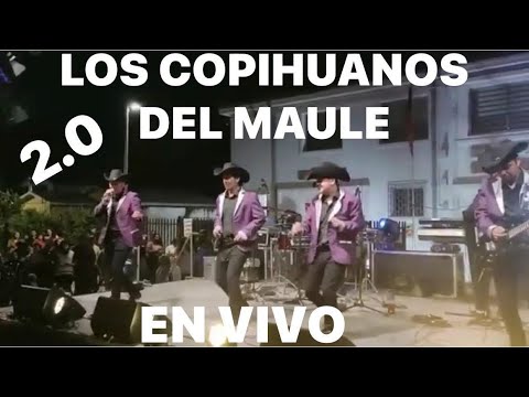 LOS COPIHUANOS DEL MAULE