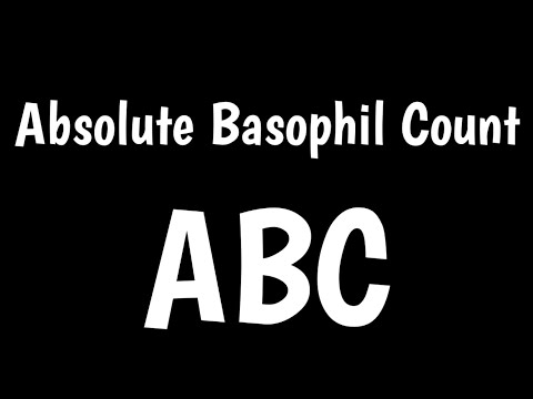 Baso Absolute 0 0