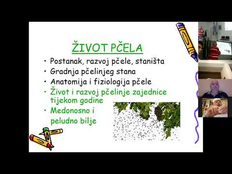 Mala škola pčelarenja - Život pčela, Nenad Strižak