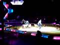 Circus Dogs