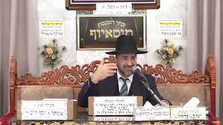 הרב אייל שרגא   •  תיקוני הנפש והגוף בימי השובבים   •  פרשת בא (בית הכנסת מוסאיוף - ערוץ חדש) - התמונה מוצגת ישירות מתוך אתר האינטרנט יוטיוב. זכויות היוצרים בתמונה שייכות ליוצרה. קישור קרדיט למקור התוכן נמצא בתוך דף הסרטון