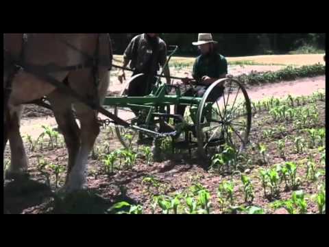 Horse Progress Days 2012