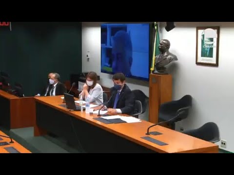 Comissão Externa de Ações contra o Coronavírus - Panorama da pandemia - 20/05/20 - 10:05
