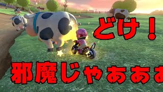 神様なんていないのかもしれない【マリオカート8デラックス】