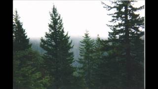 The Sleep Tapes - Diamond Dogs (LIVE)