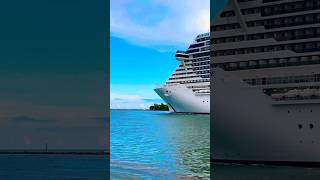 MSC Seascape 🛳️ #like #share #subscribe #shortvideo #shortsvideo #comment  #vacation #youtubeshorts