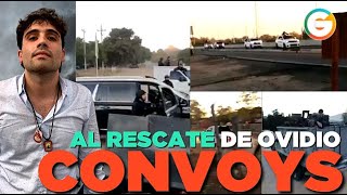 Convoys al rescate de Ovidio Guzmán #Sinaloa