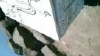 "A Caixa Musical da Salamandra Mística"