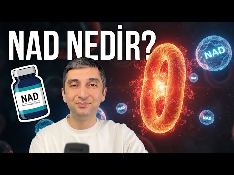 Hangi Organlar NAD+'a Daha Çok İhtiyaç Duyar? (Beyin, Kalp, Kaslar)