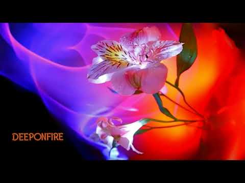 DJ Aristocrat ft. Dave Baron - My Girl (Toly Braun Remix)