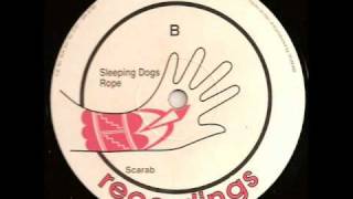 District 1 - Scarab (AUK 001) Sleeping Dogs