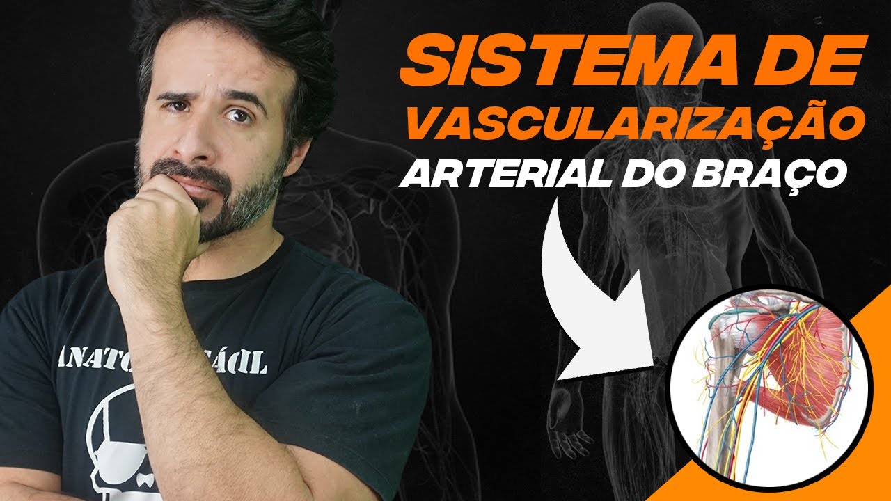 APRENDA TUDO SOBRE O SISTEMA DE VASCULARIZAÇÃO ARTERIAL DO BRAÇO!