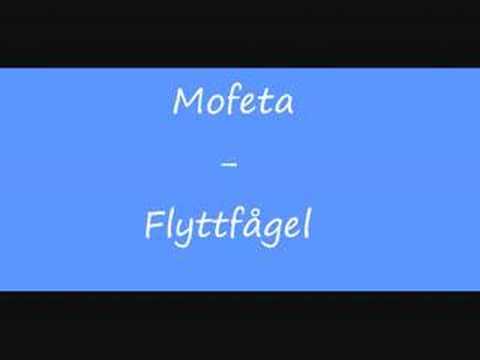 Mofeta - Flyttfågel