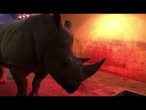 "Einfach Tierisch" Folge 6 - Der erste Schnee im Osnabrücker Zoo