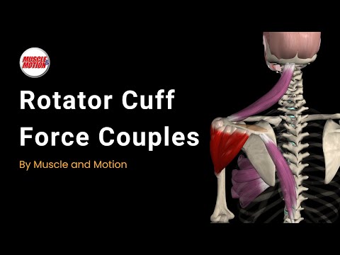 The Rotator Cuff Force Couples