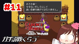 ガチ説教は即座にブロック【ケイデンス・オブ・ハイラル】 #おやすみvtuber  #11