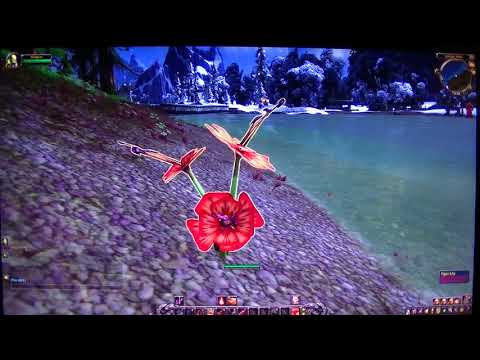MongoTV_4133 - Mongo Games - Part 124 - World of Warcraft - WoW - MongoTV