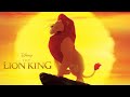 The Lion King Read Along Storybook