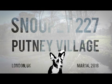 Snoopet 227 - Putney Village