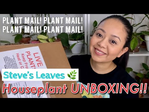 Steve’s Leaves Houseplant UNBOXING!!