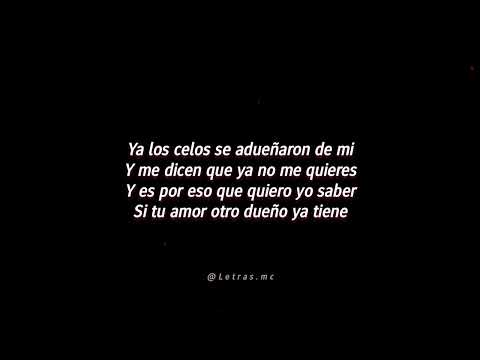 Negros Celos - Dario Gomez / Letra