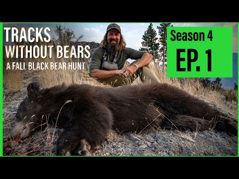 SEASON 4 | EP 1 | SHADOWS IN THE TIMBER | FALL BEAR HUNT | 🎬 GRITTY 4K FILM