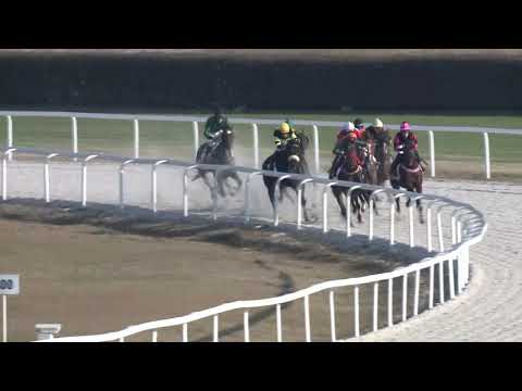 2018.11.18. 05. futam - ÜLLŐI HENDIKEP (IV.o.) (szintetikus pálya)