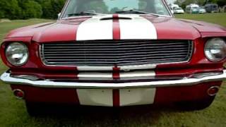 1966 Shelby Mustang GT350