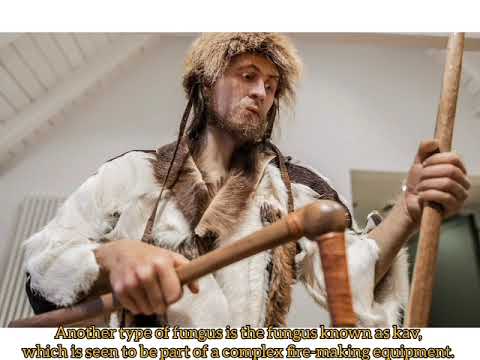 Iceman Otzi, Where Scientists Even Studied His Microns