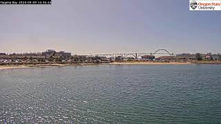 Oregon State University - Newport - Yaquina Bay live webcam