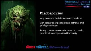 Watch video: The Usual Suspects of Mold Remediation