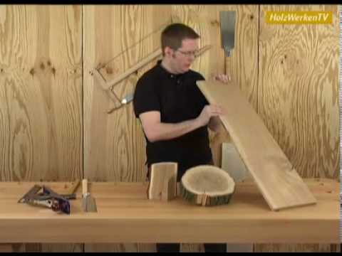 HolzWerken-Info: Wie Holz wächst - und was Eiche so besonders macht