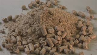Aliments UFA: Le qualité de A à Z