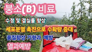 붕소(B)비료를 잘 알면 작물의 품질을 높일수 있다 수정 및 결실률 향상,세포분열 및 기형과 예방,열과,코르…