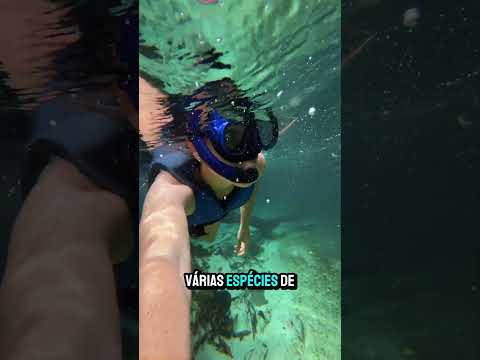 Vila Bom Jardim, Nobres Mato Grosso