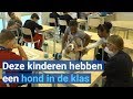 Hond Miles helpt in de klas