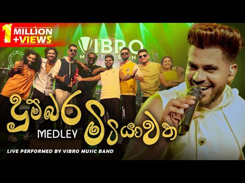 Dumbara Mitiyawatha (දුම්බර මිටියාවත) Medley - Live Performed By VIBRO Music Band