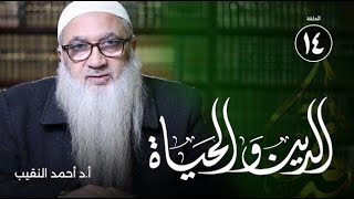 صورة الصديق ودوره في الحياة 5 | الدين والحياة | الدكتور أحمد النقيب |ح14