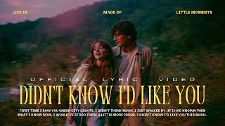 Download lagu limo. - Didn’t Know I’d Like You mp3