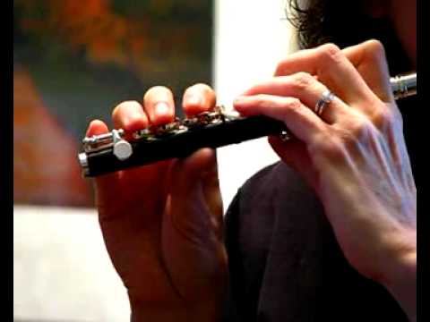 Di Zhao Resin Piccolo for Sale - Demo of Low Register