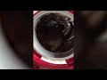 Cat Uses Washing Machine As A Treadmill