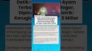 Korsleting Listrik Sambar Tabung Gas, 60 Ribu Ekor Ayam Hangus dalam Kebakaran Hebat di Cariu Bogor