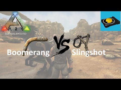 Ark Insight! -- The Boomerang V.S The Slingshot!!!