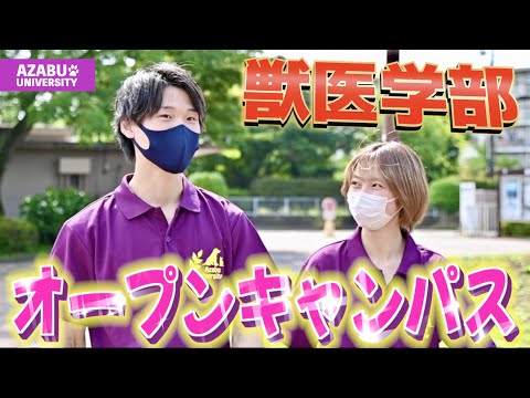 【動物に会える!?】獣医学部のオープンキャンパスに行ってみた🌱麻布大学｜獣医学部の実習・授業体験