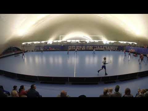 D1 P06 Lohko 2 Tiikerit Sininen - Oilers Blue 17/11/2019